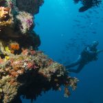 Baros Escape Offer at Baros Maldives