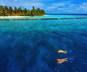 Kurumba_Snorkeling