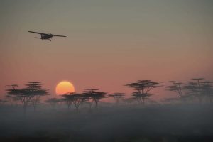 Skysafari offer